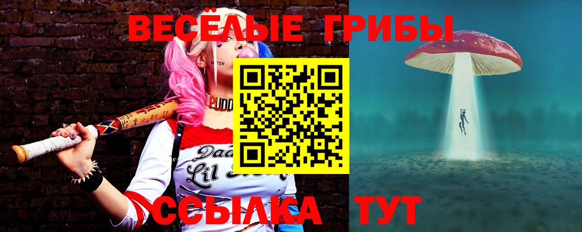 Кувандык  где купить наркоту  Вход с VPN  Псилоцибиновые грибы ЛСД 