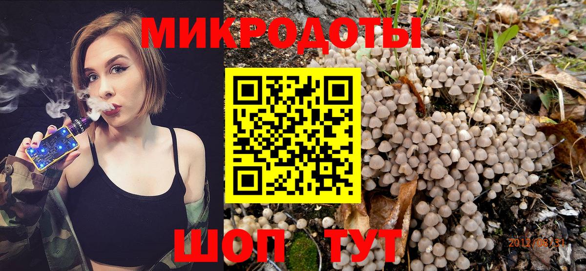 Галлюциногенные грибы прущие грибы Кувандык